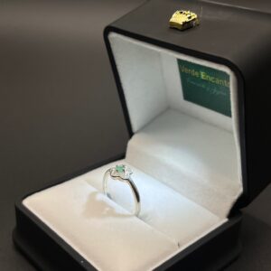 Anillo Silueta Floral Verde Encanto