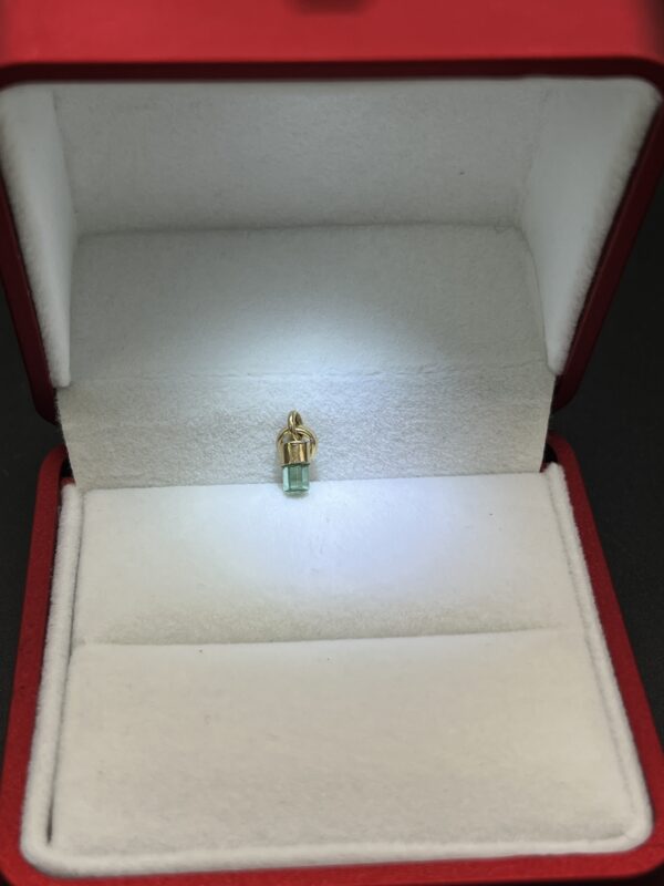Dije de Oro con Canutillo Verde encanto